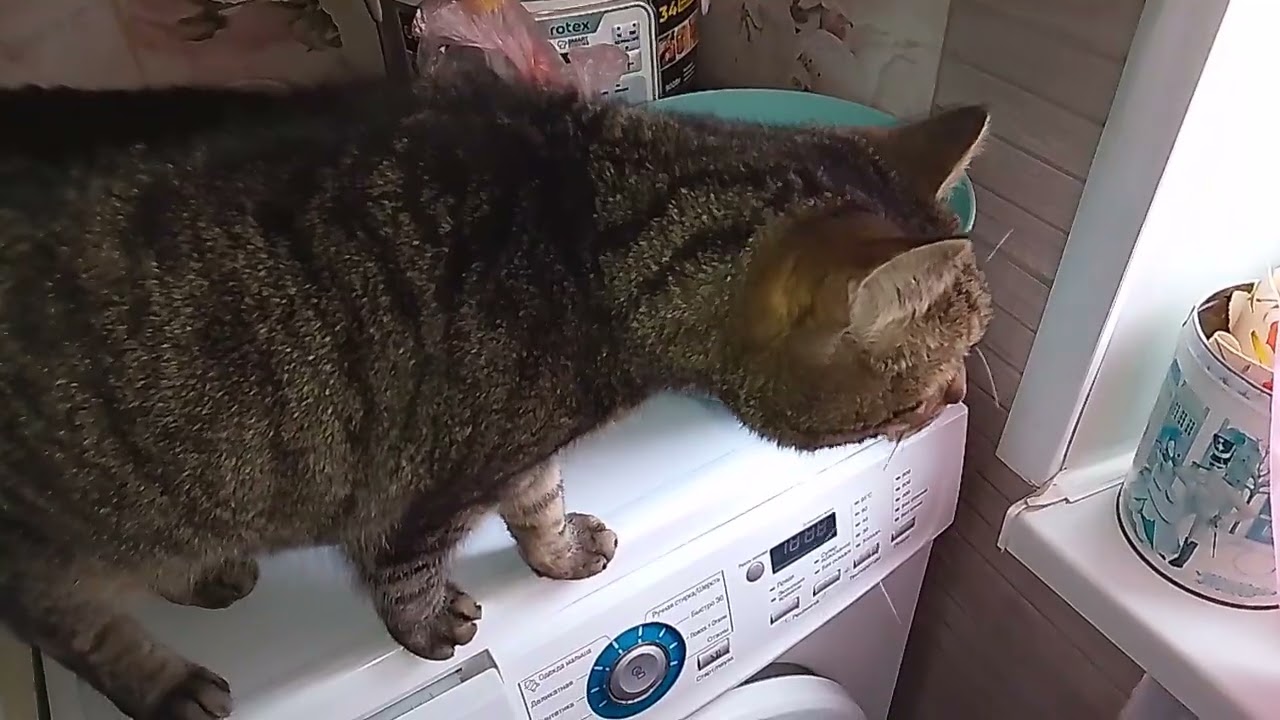 ПОГОДА НЕ ШЕПЧЕТ!☔❄️