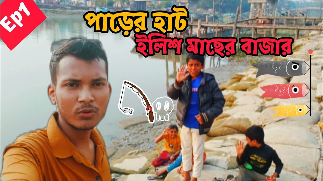 পাড়ের হাট ইলিশ মাছের বাজার  #blogger_Arman
