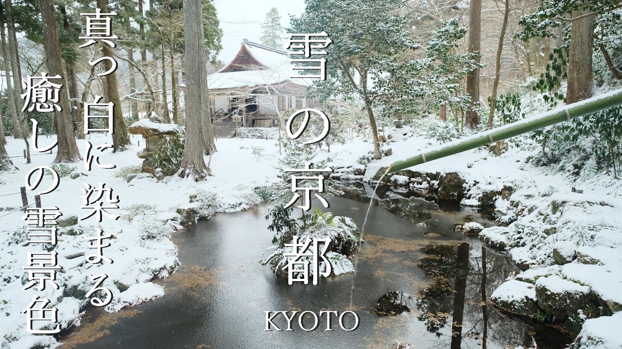 降る音さえ美しい 大雪の京都 2025  Kyoto Snow