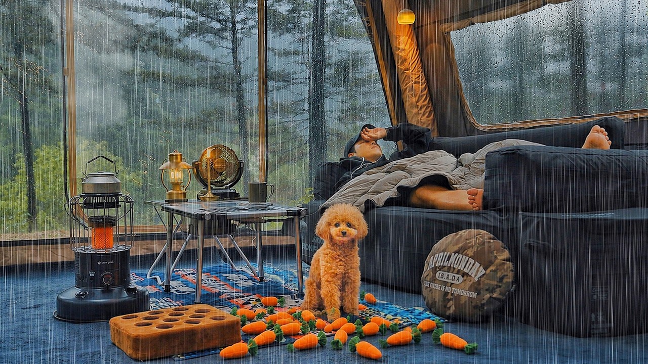 7 Days of Heavy Rain Camping with My Dog . Binge Watching ASMR