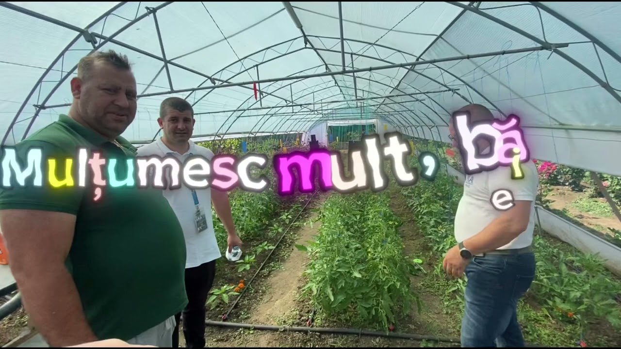 Ieri am montat plasa de umbrire pe solar! Ce plasă am folosit și cum am procedat la montare…