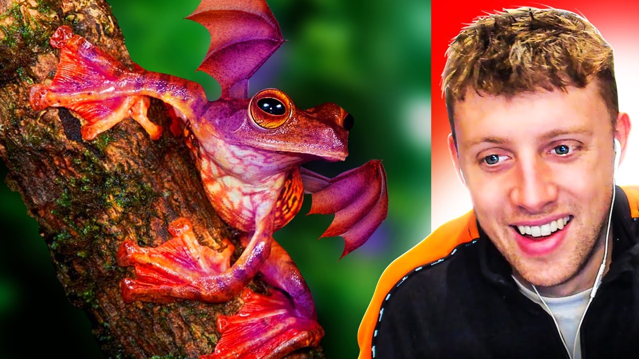 TOP 10 ANIMALS FROM ANOTHER UNIVERSE!