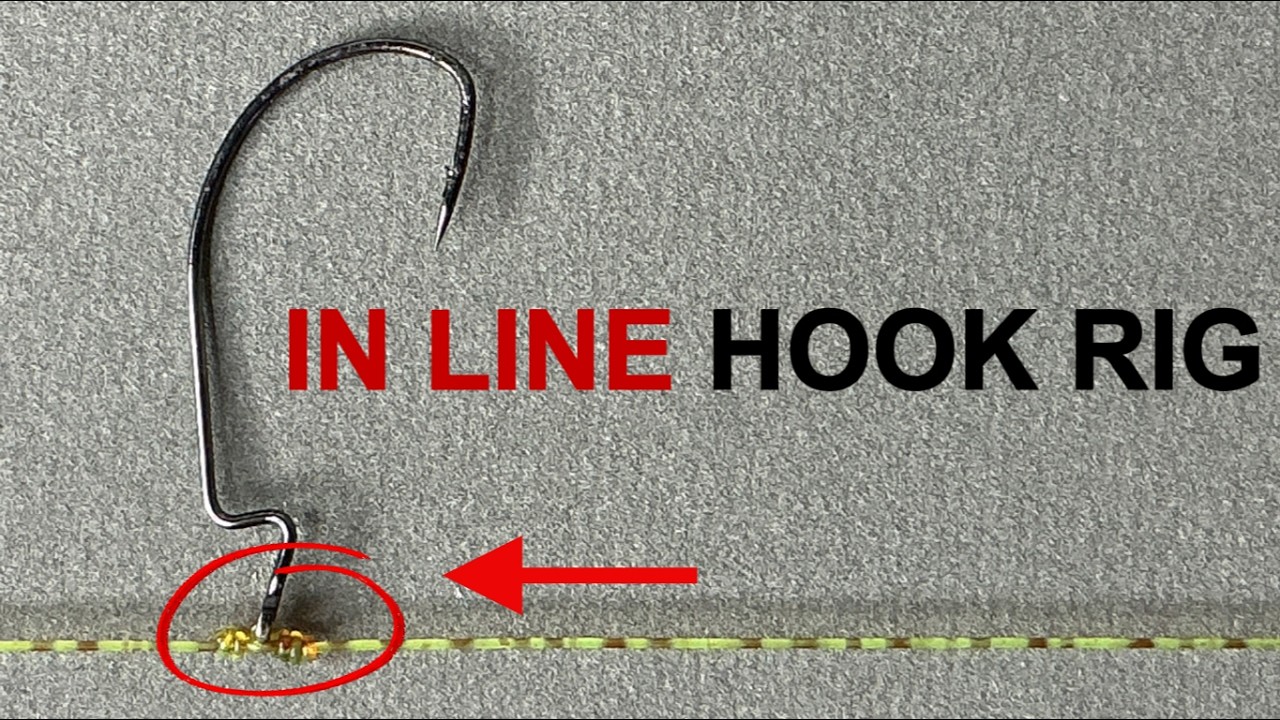 In line hook fishing rig!