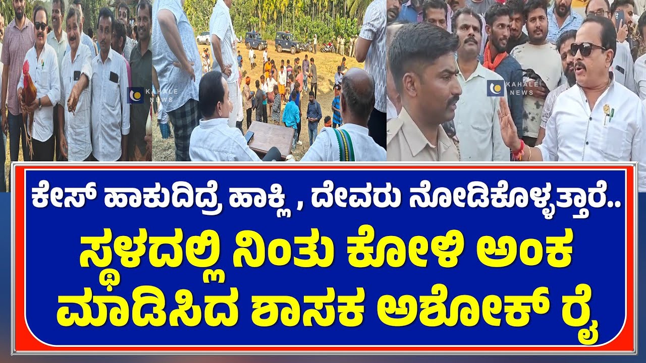 ASHOK KUMAR RAI AT KEPU KOLI KATTA | ಸ್ಥಳದಲ್ಲಿ ನಿಂತು ಕೋಳಿ ಅಂಕ ಮಾಡಿಸಿದ ಶಾಸಕ ಅಶೋಕ್ ರೈ - ಕಹಳೆ ನ್ಯೂಸ್