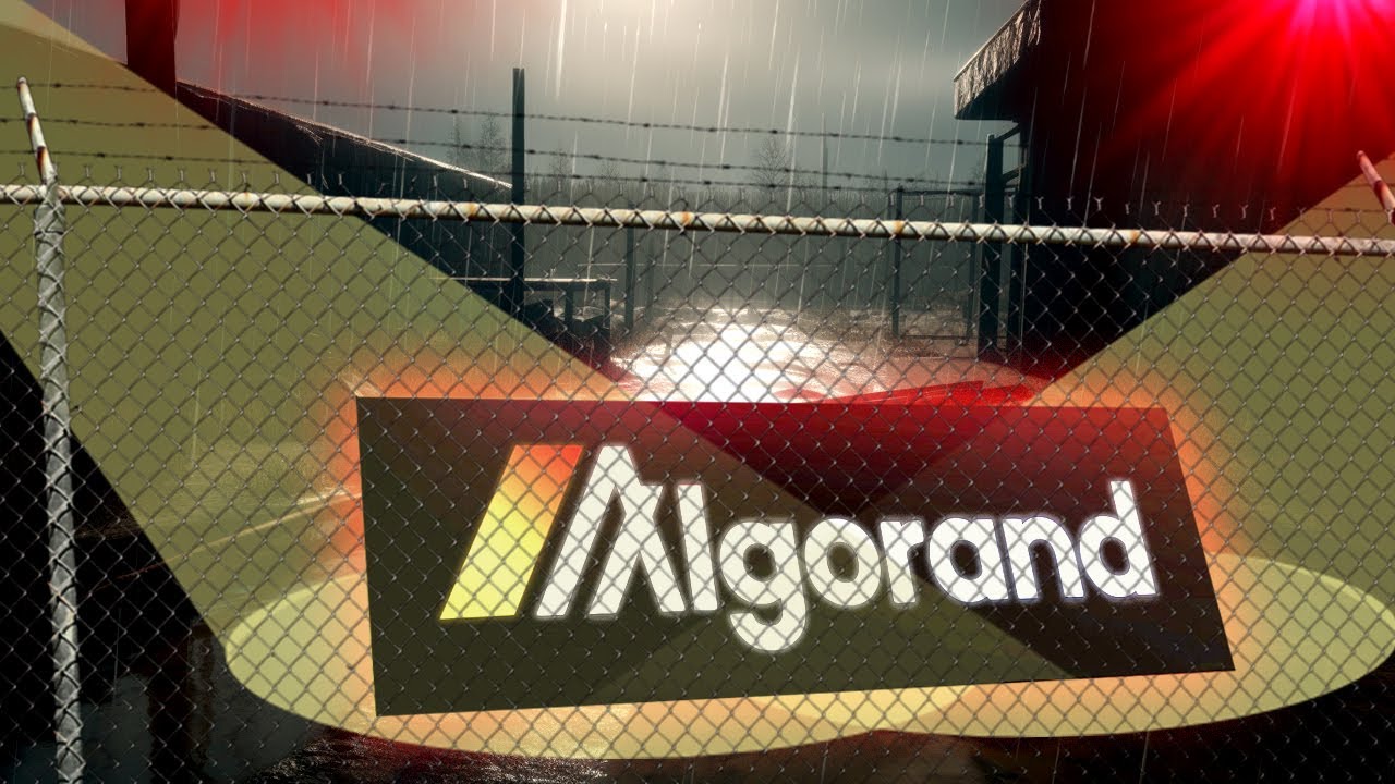 У Algorand проблемы? Разъяснения по иску SEC!