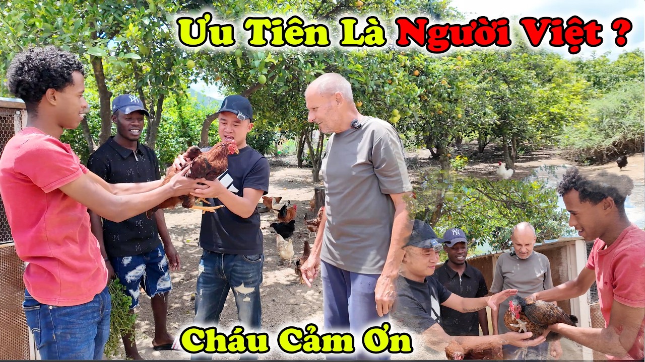 Hy Vọng Sẽ Nhân Giống Thành Công , Bác Người Bồ Chia Sẻ Giống Gà Tốt !