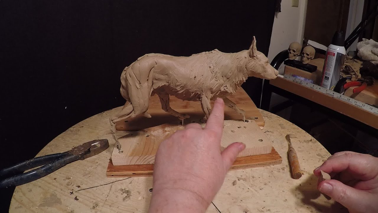 Distant War Cries The Dog Grows Hair Last Day in Studio for a Couple of Weeks