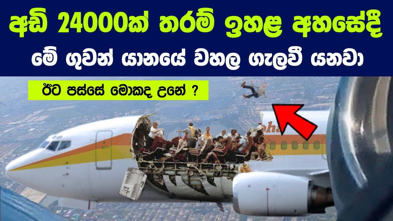 අඩි 24000ක් තරම් ඉහළ අහසේදී වහල ගැලවී ගිය ගුවන් යානයේ පුදුම කතාව | The Miracle Landing Of Aloha