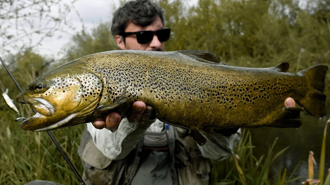 Trote Mediterranee di Risorgiva e Spinarelli - Troutsession 3 - Ep.2