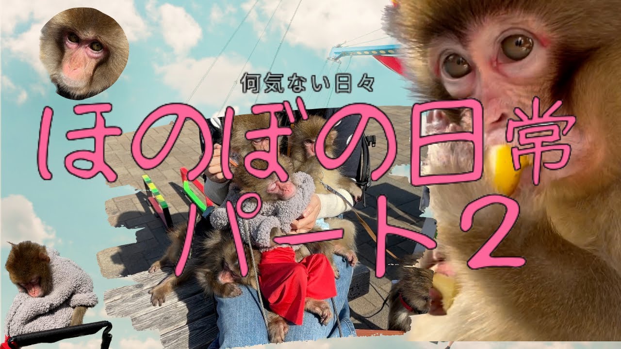 （愛）ほのぼの日常第二弾！今回も可愛いが盛りだくさん！癒されること間違いなしですよ！