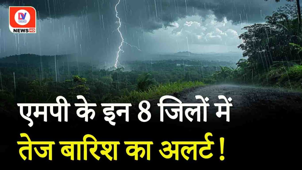 MP Rain Alert Today: प्रदेश में सीजन की 72% ज्यादा बारिश, आज 8 जिलों में होगी भारी बारिश! #weather