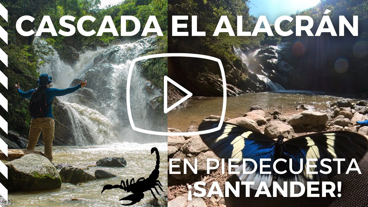 RUTA CASCADA EL ALACRÁN   PIEDECUESTA, SANTANDER (RUTA)