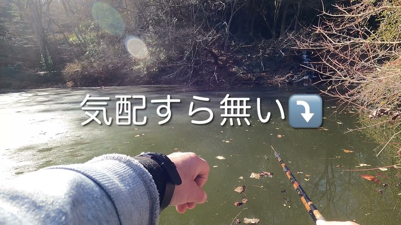 2026.2.6  O池