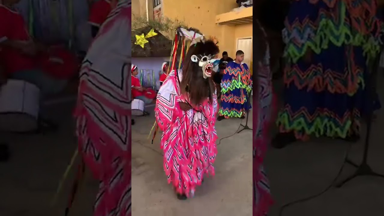 Pinguim de Miracema-RJ na festa de arremate da Bandeira Nossa Senhora Aparecida. 27-07-25