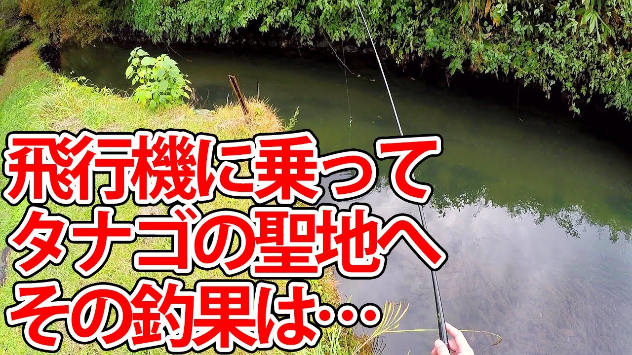 飛行機に乗ってタナゴの聖地へ。果たしてその釣果は…【タナゴ釣り】【小物釣り】【全国タナゴ探し】