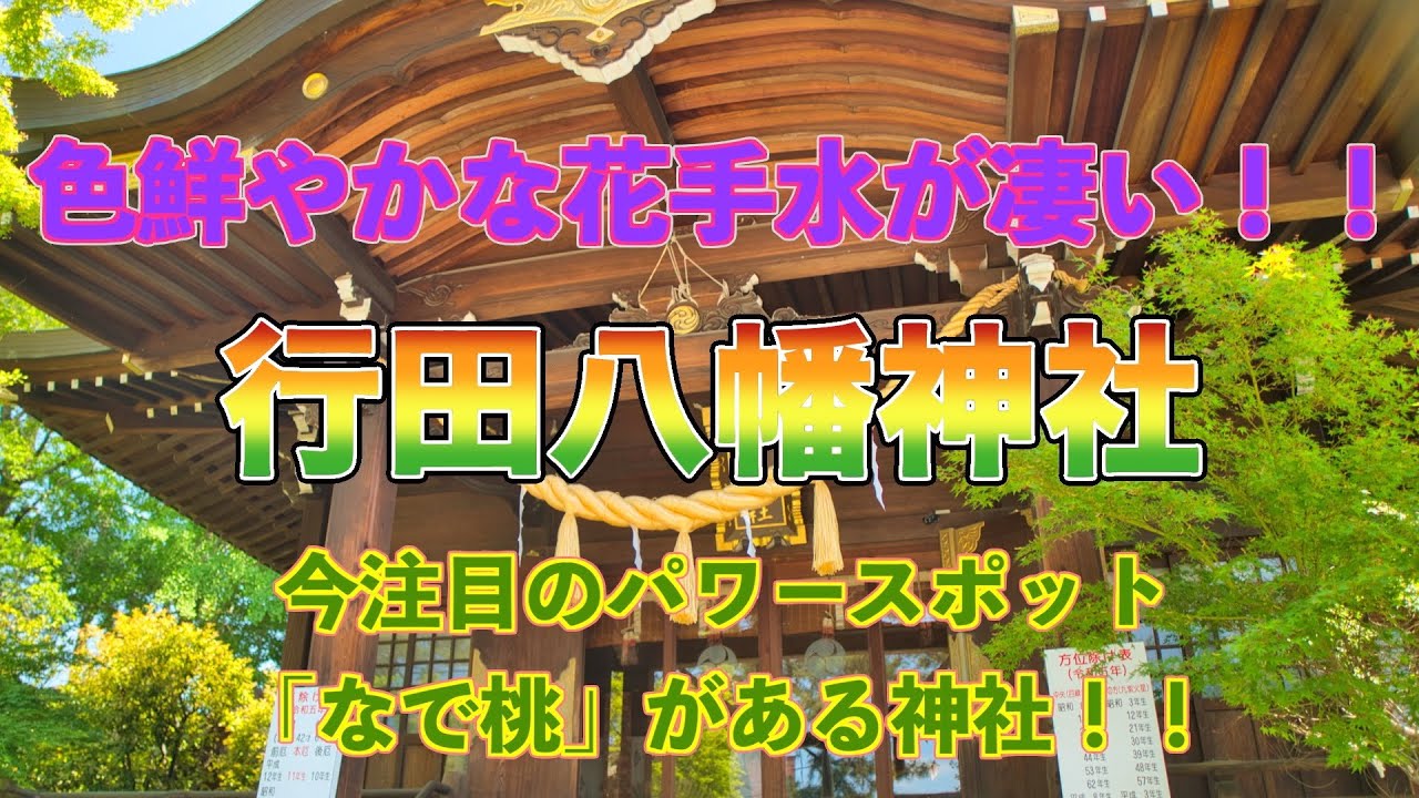 色鮮やかな花手水🌸が凄い‼️行田八幡神社⛩️注目のパワースポット「なで桃」🍑がある神社‼️