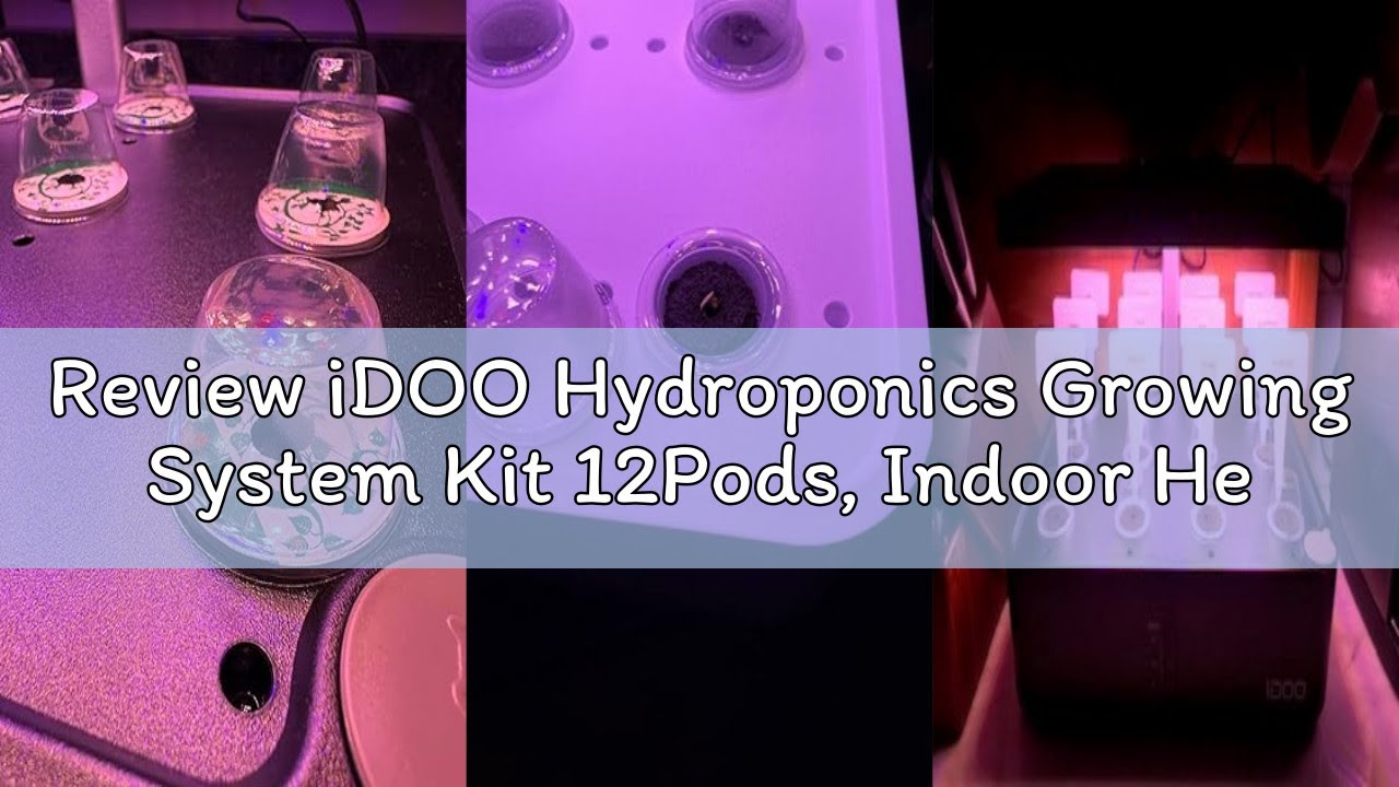 Review iDOO Hydroponics Growing System Kit 12Pods, Indoor Herb Garden System, with LED Grow Light, B