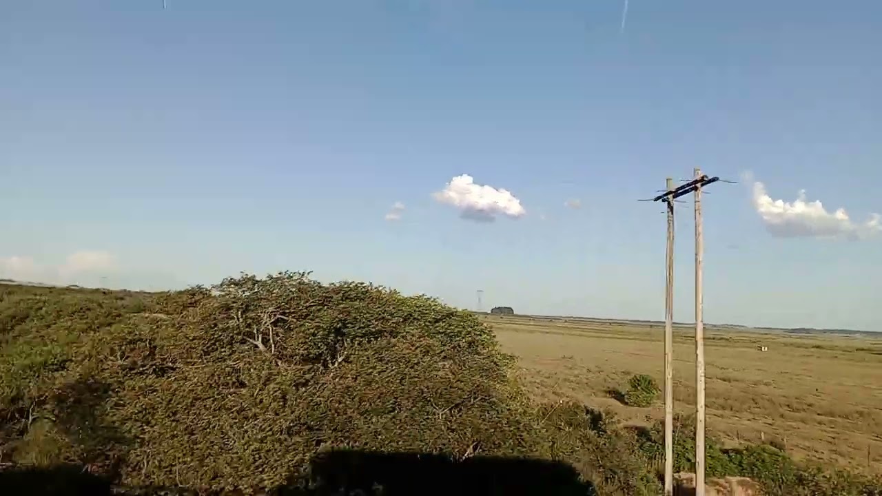 11 de março de 2026