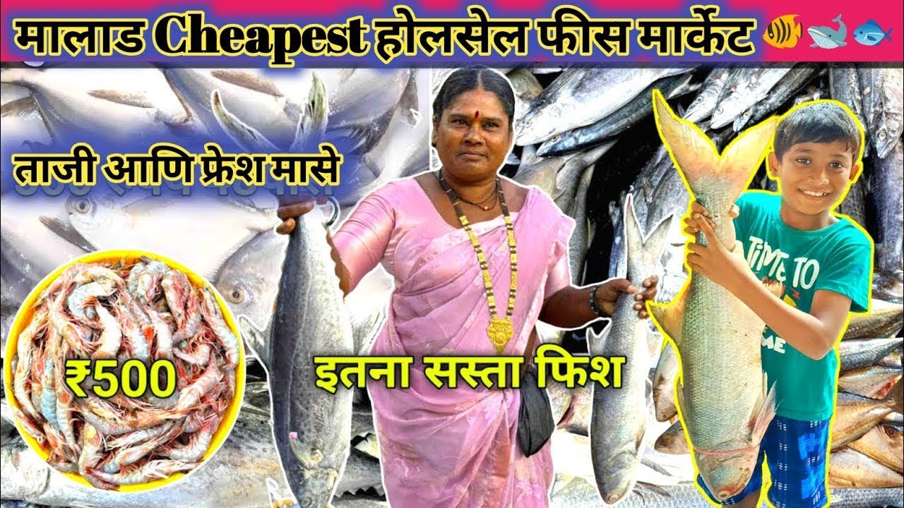 💥 फक्त 300 रुपयात 12 बांगडे?! 😱🐟l Malad wholesale fish market l cheapest fish market in mumbai