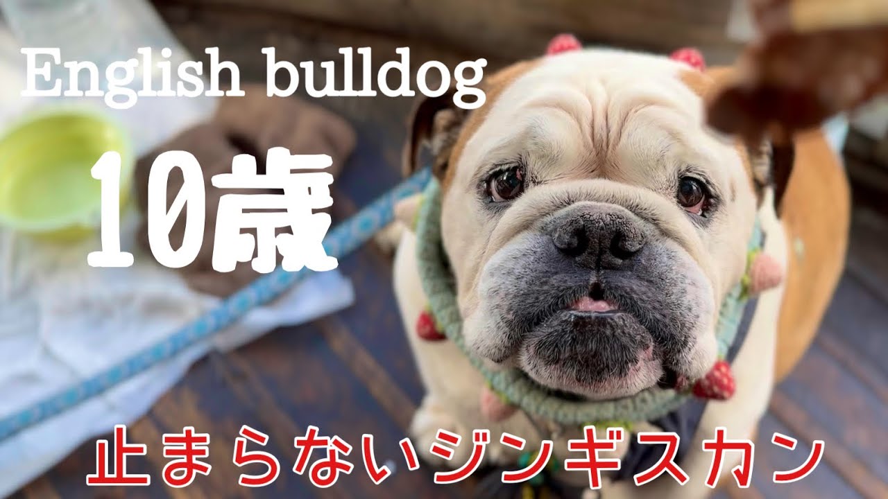 キャンプ帰りに寄った店で食欲が止まらなくなったじいちゃん。