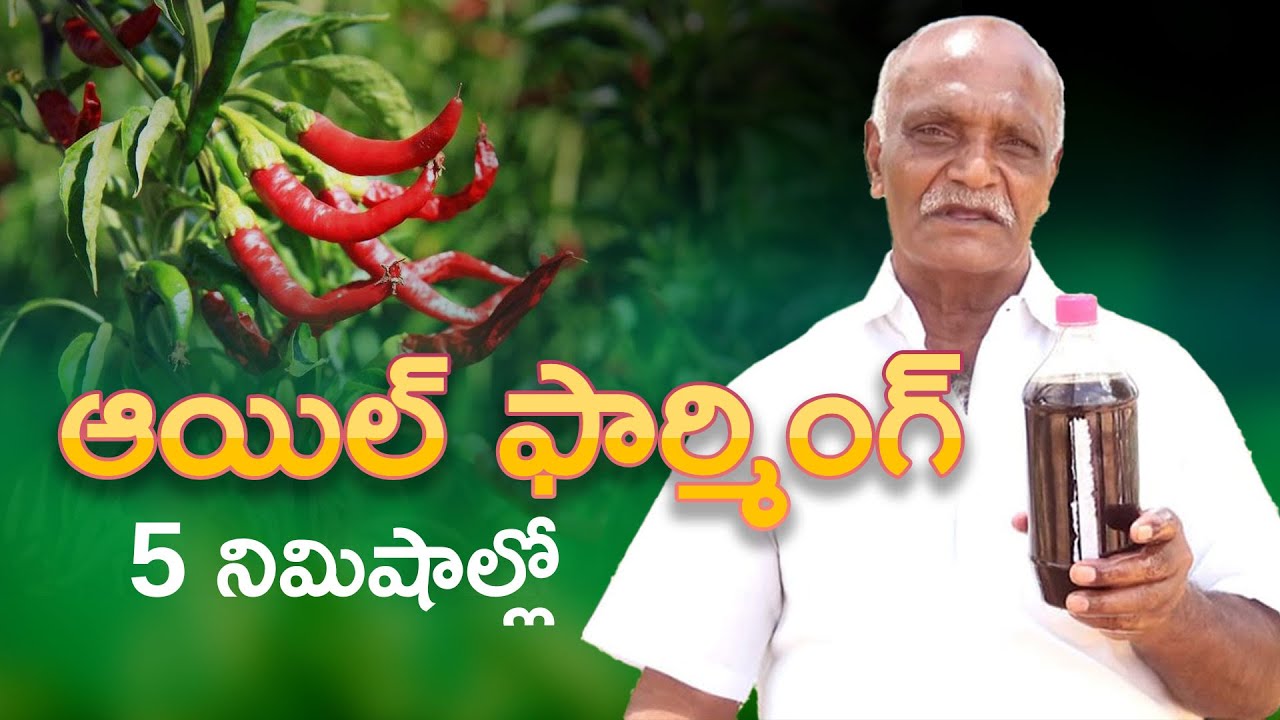 Ponnuswamy Oil Farming Explained - Ponnus rythu seva kendram