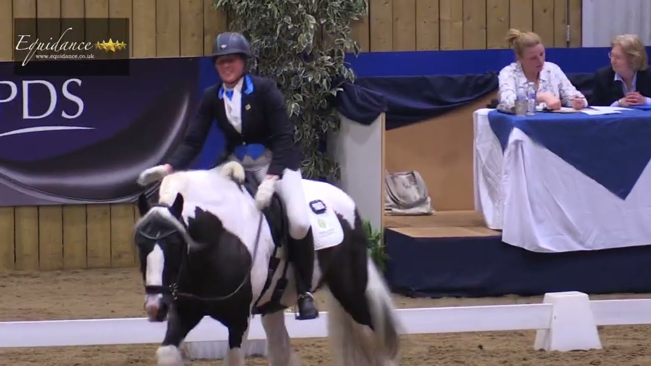 Danielle Rhodes & Tiger Tim Return! Medium silver