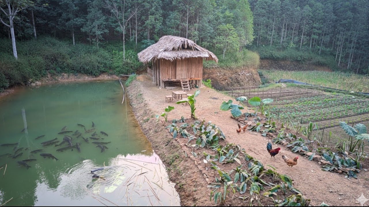 The young chef leaves the city to return to his hometown, and 100 days of building a new life begin.