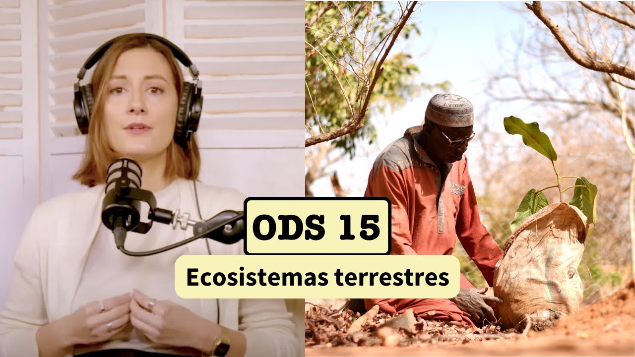 ODS 15: ECOSISTEMAS TERRESTRES - El hombre que frenó el desierto *Podcast Agenda el Cambio*