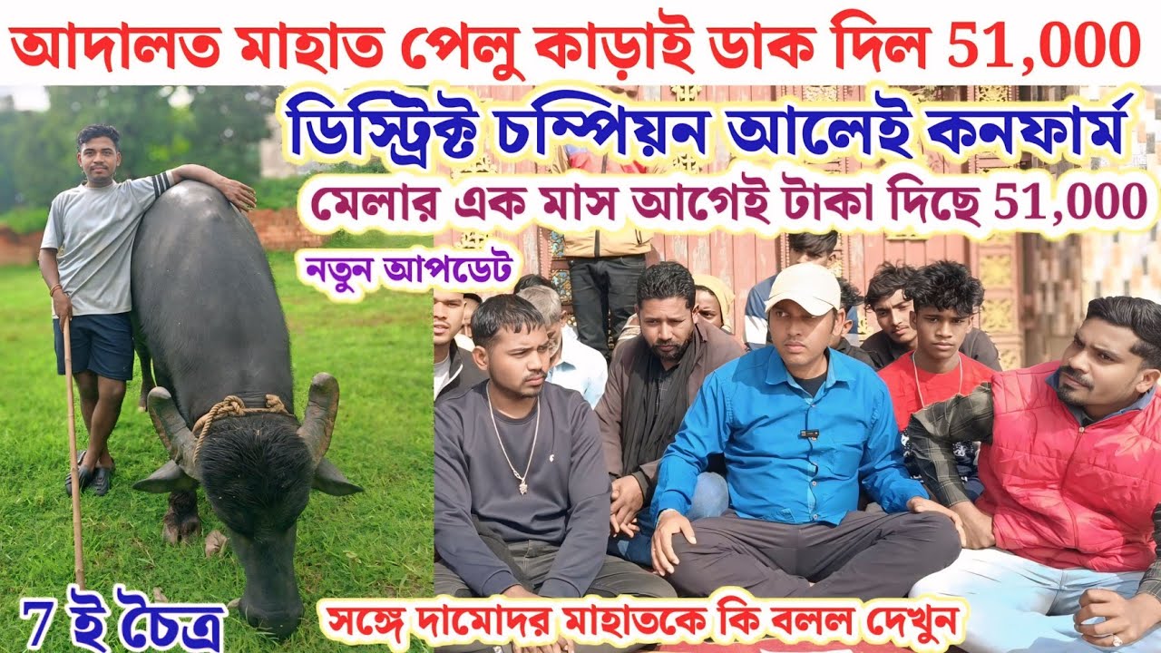 আদালত মাহাত পেলু কাড়াই ডাক দিল আধার পৌচালেই 51,000 7 ই চৈত্র 