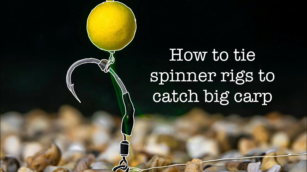 How to tie spinner rigs to catch big carp