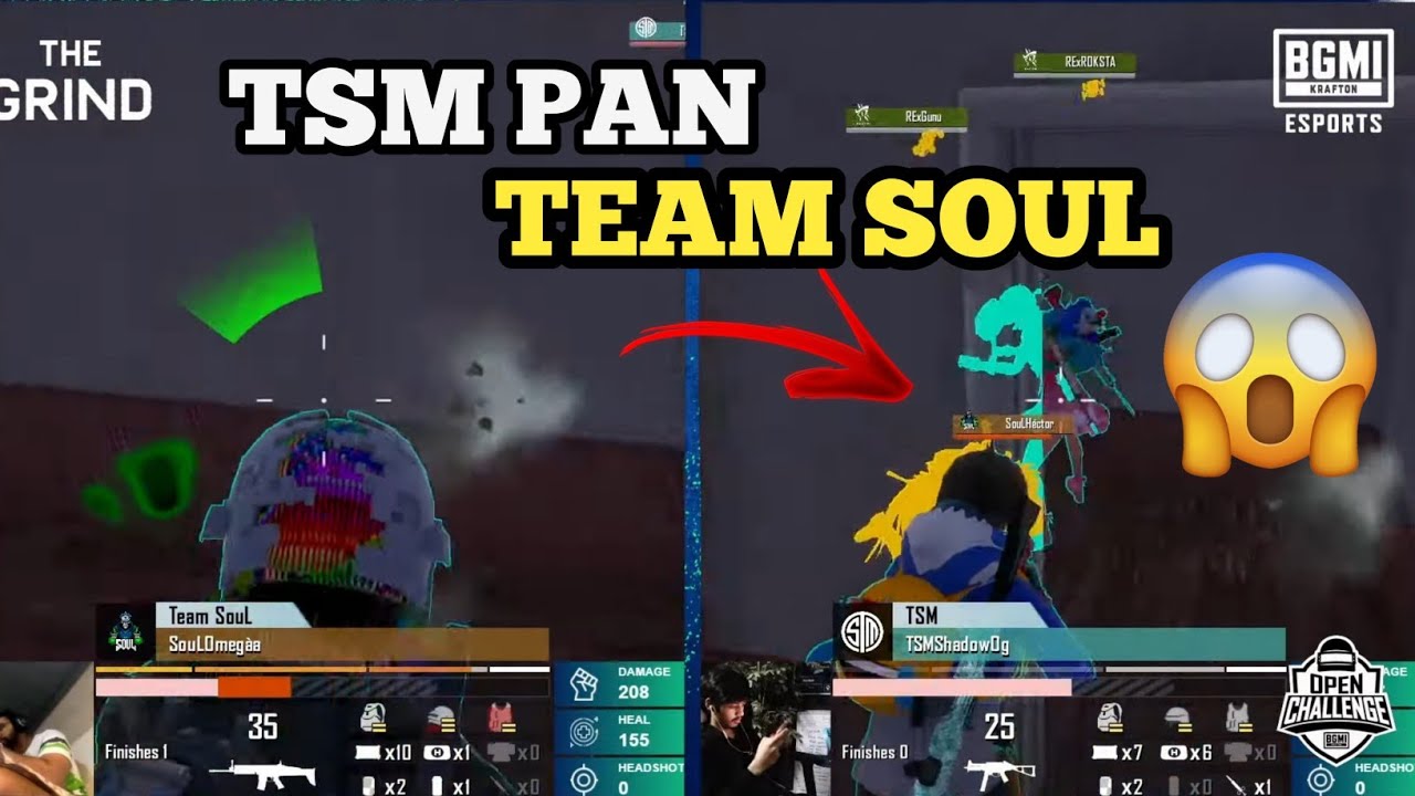 TSM Pan Team Soul 😱 | tsm vs soul pain | TSM Ninja pan Soul Omega| TSM vs Team Soul