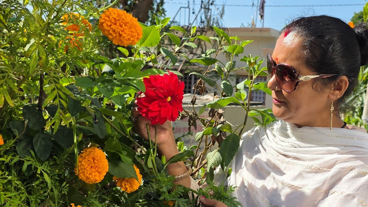home- garden and lifestyle  is live!