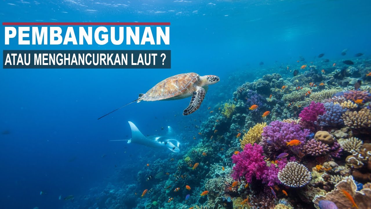 Laut Indonesia: Surga Dunia yang Perlahan Kita Hancurkan