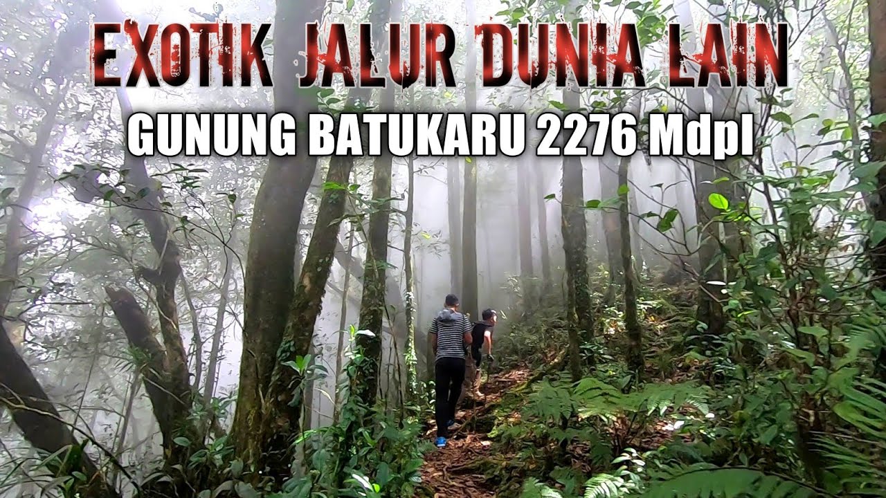Mendaki Gunung Batukaru|Review Jalur Pura Petali,Jatiluwih