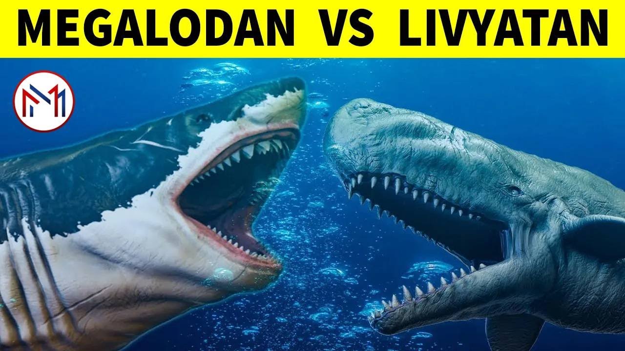 கடலின் இரண்டு ராட்சஷன்கள் மோதி கொண்டால் என்ன ஆகும்? | Megalodan Facts | Minutes Mystery