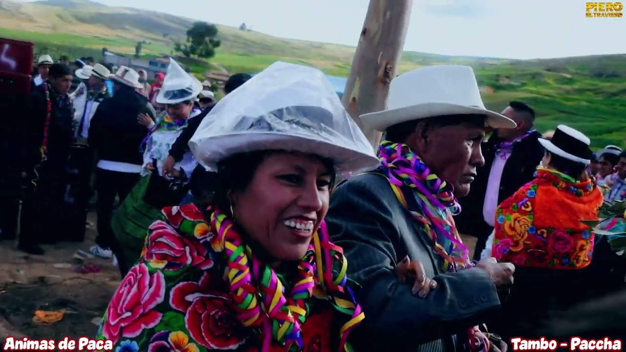 Fiesta Patronal Animas de Paca -Tambo Paccha, Tomas Amaya y Yeni Barzola 2026 Vol 02