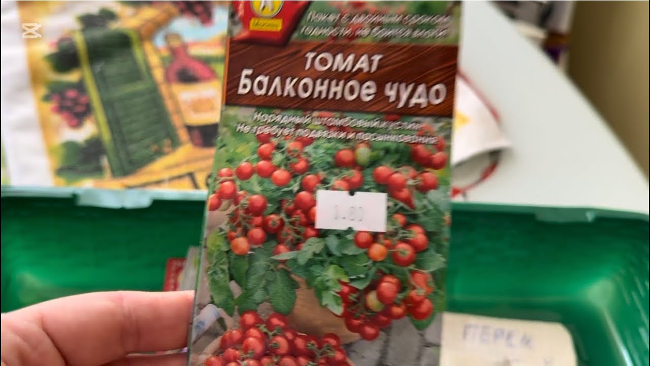 Влог. Выпала пломба . Сажаю рассаду ☘️