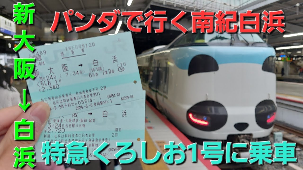 【電車🐼】パンダで行く南紀白浜！特急くろしお号に乗車してみた！！#パンダくろしお #旅行