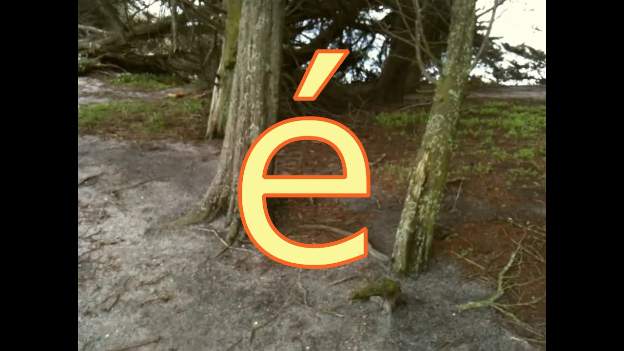 Le chant de pleine conscience Marche en conscience Philippe Barraqu&eacute;