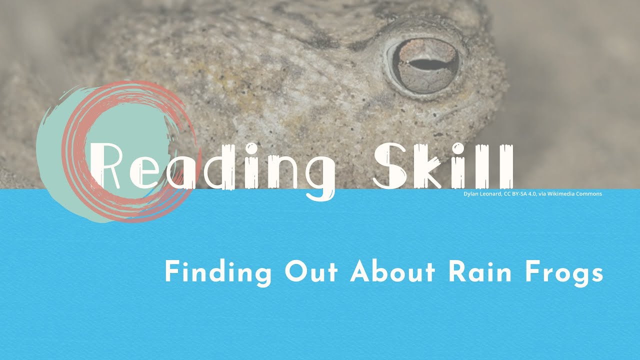 【LIVE互動英語：20260312】閱讀素養專欄：認識雨蛙