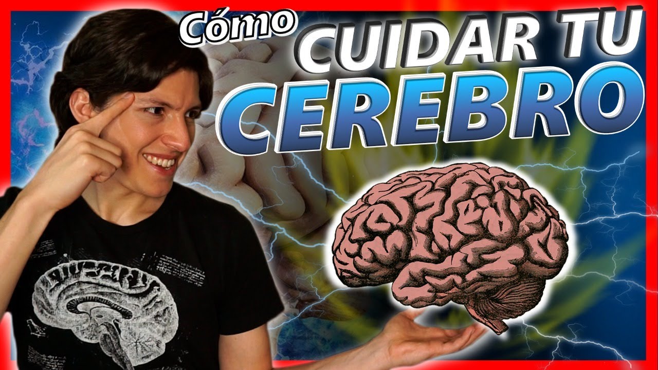 💪Top 10 Mejores H&Aacute;BITOS para Ejercitar el CEREBRO y la MEMORIA (y C&oacute;mo Utilizarlos)