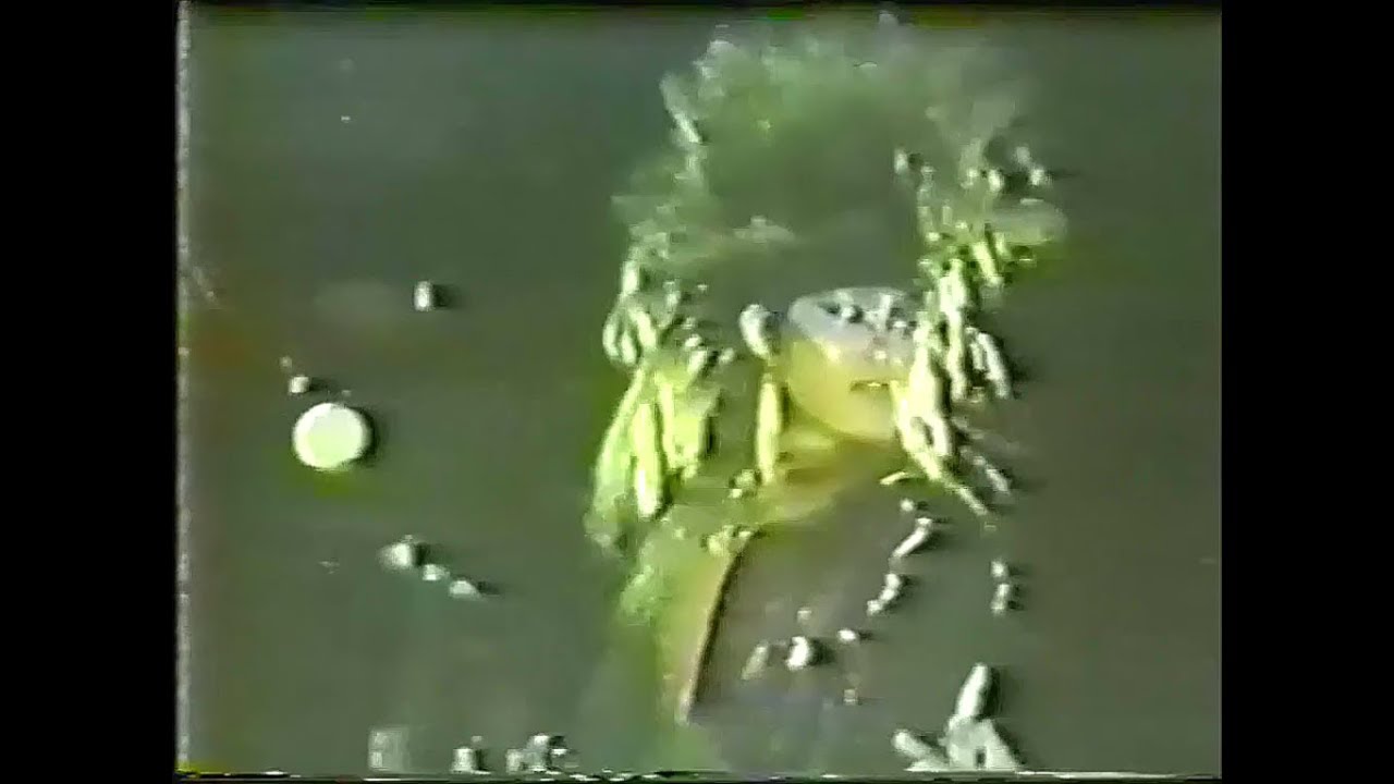 X JAPAN - BREAK THE DARKNESS ~ FEEL ME TONIGHT ~ NO CONNEXION ~ STAB ME IN THE BACK