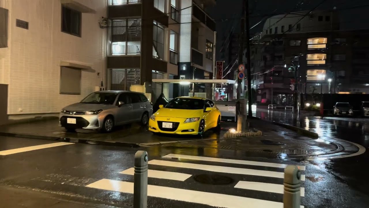 Extended Cut Japan Late Rain Walk 2025.01.07 ASMR Ambience Sleep Meditate Relax Tokyo Storm