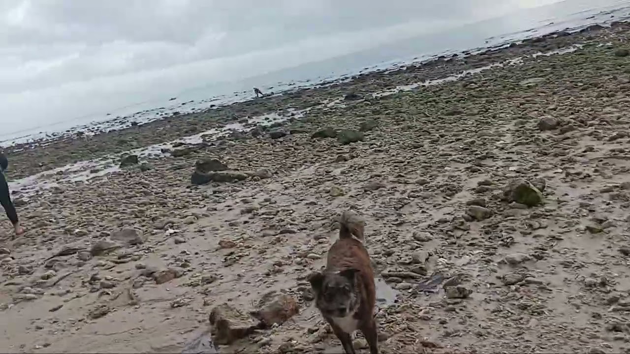 Natuyo ang dagat
