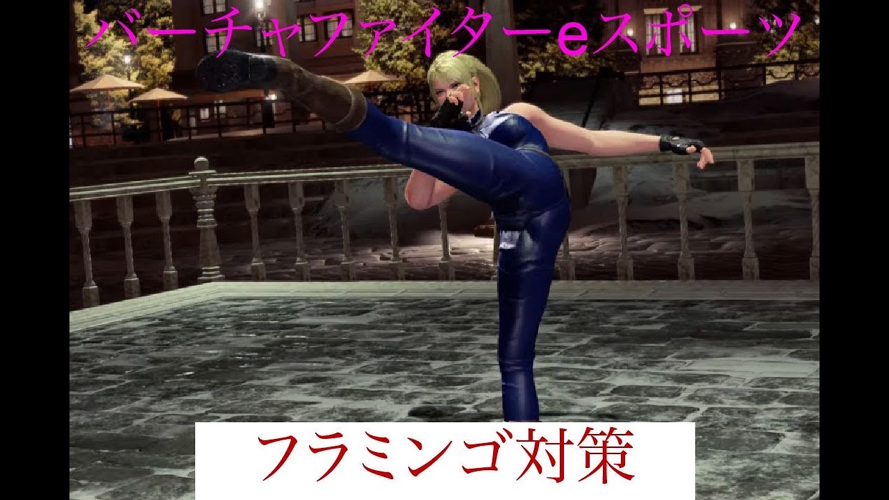 【VFes】対サラ戦必須レベル　フラミンゴ対策