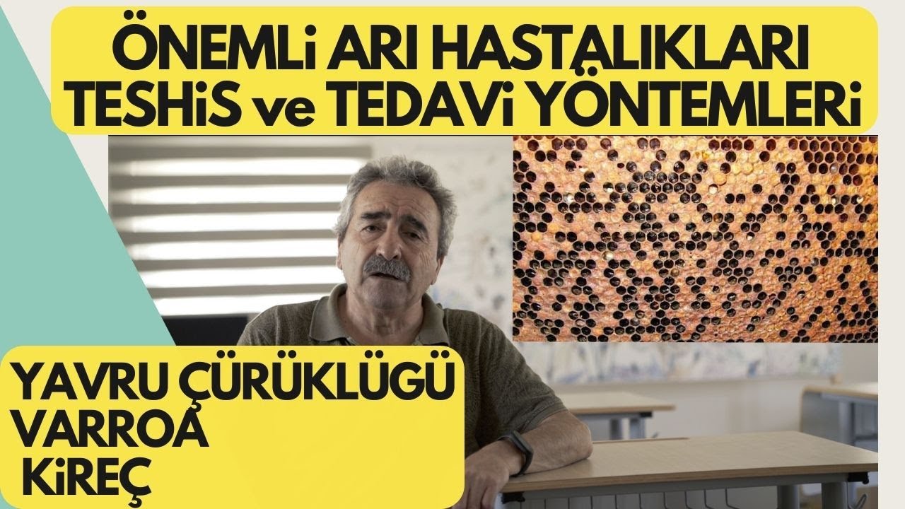 ARI HASTALIKLARI | YAVRU ÇÜRÜĞÜ, VARROA, KİREÇ | TEŞHİS, ÖNLEM ve TEDAVİ YÖNTEMLERİ