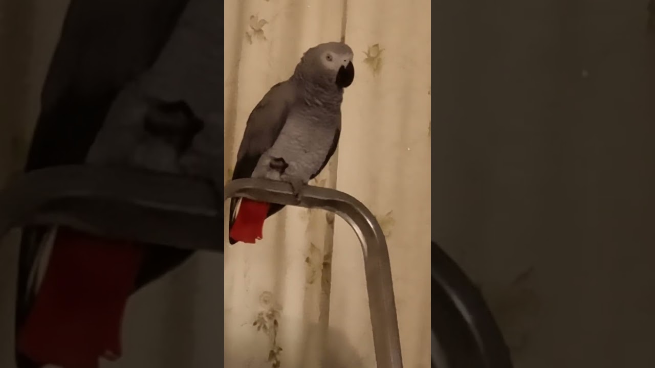 Холодно  девочке! Будем пить чай!