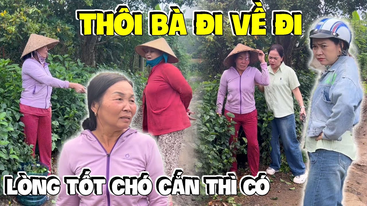 Dì Hương Ấm Ức Vì Có Lòng Tốt Giúp Linh Ế Nhưng Nhận Lại Sự Phủ Phàng ...| Anh Ba Báo