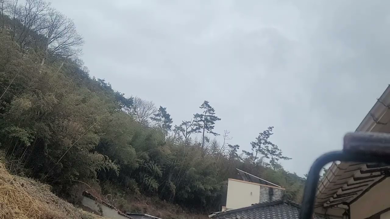 뒷산 촬영 고정 로그 01