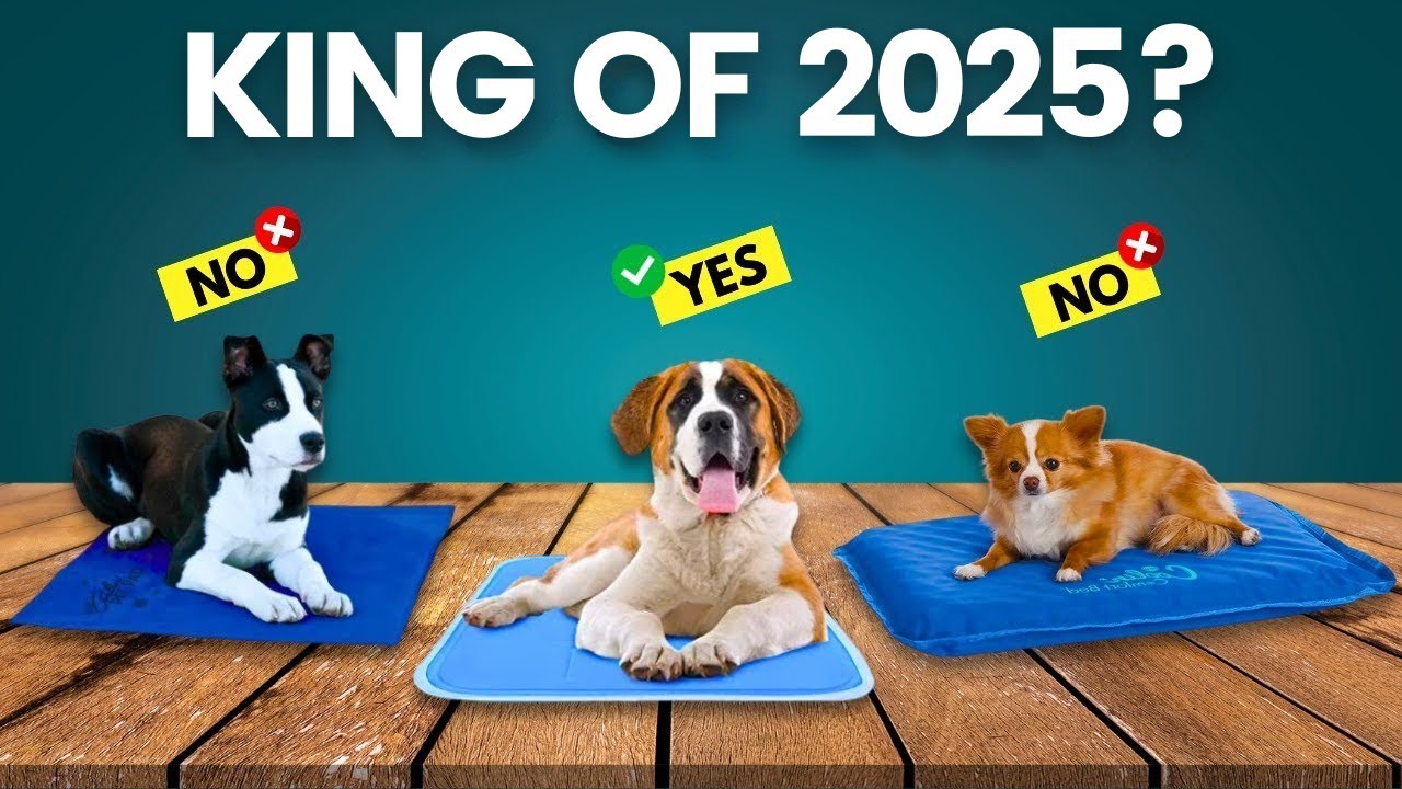 5 лучших охлаждающих ковриков и подложек для собак 2025 года